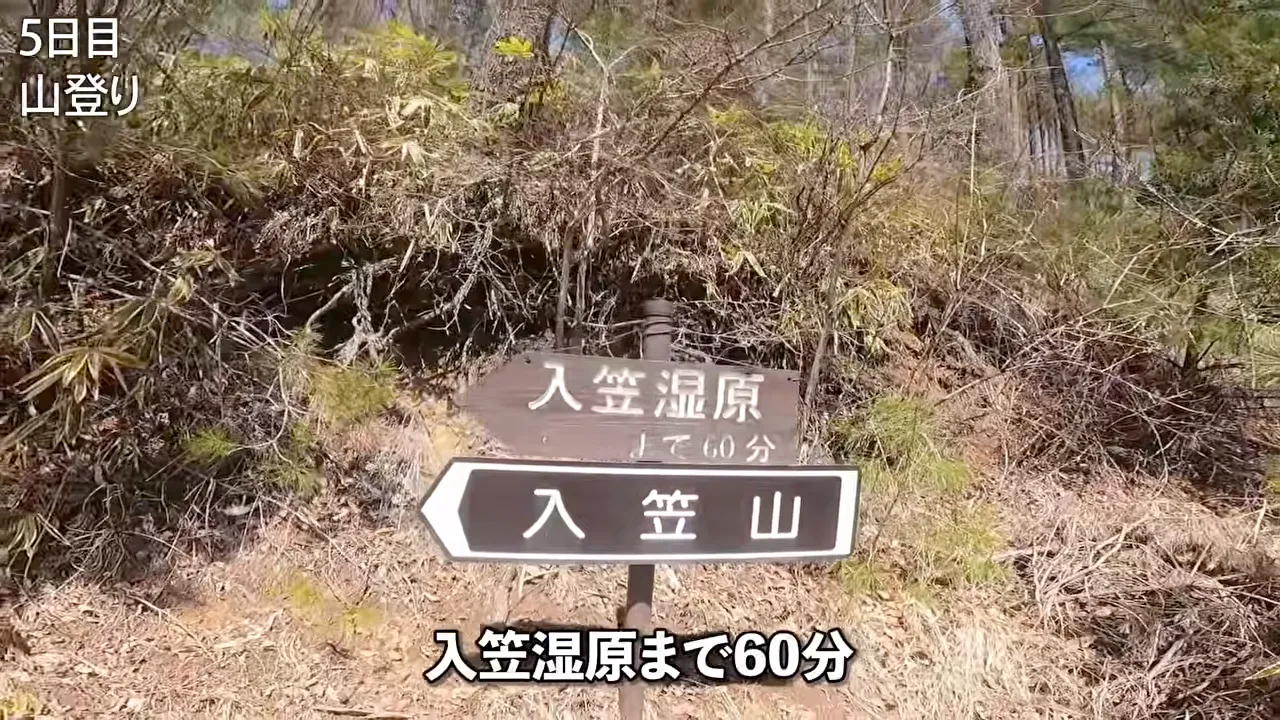 落ち葉の登山道に立つ木の道標に「入笠湿原」「入笠山」と書かれていて、画面下に「入笠湿原まで60分」という字幕が出ている画面